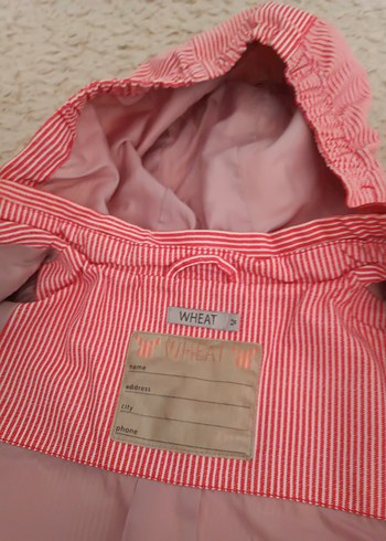 Kapüşonlu Fermuarlı Kız Çocuk Yağmurluğu - Görsel 2