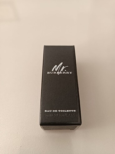 Mr Burberry