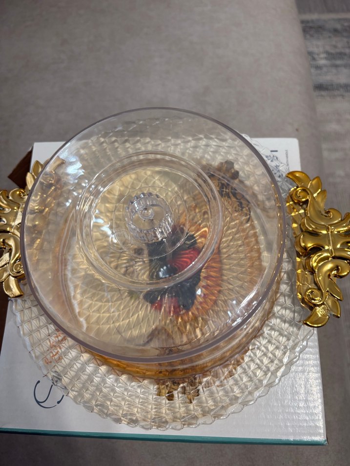 Altın Renk Yılan Desenli Kapaklı Tabak - Görsel 2