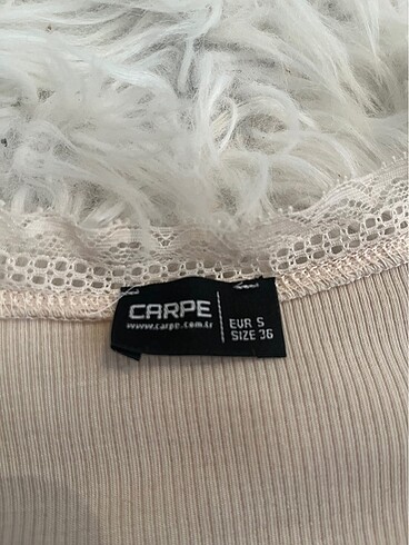 s Beden carpe crop