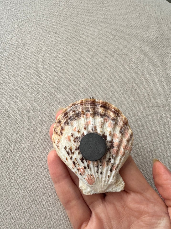 Alanya magnet — görsel 2/2