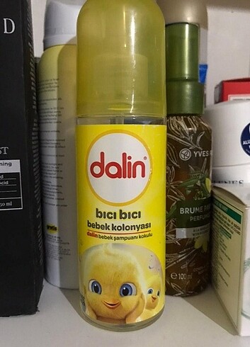 Dalin bıcı bıcı bebek kolonyası