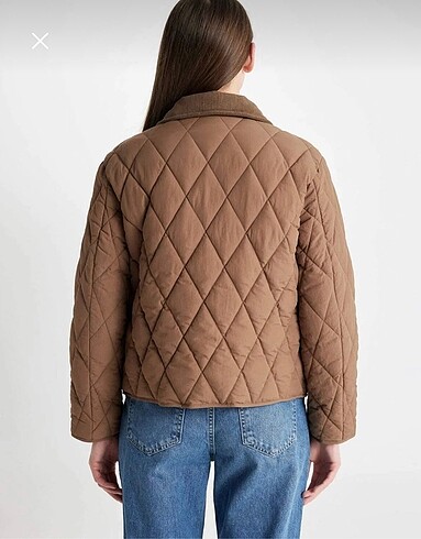 s Beden camel Renk Defacto mont