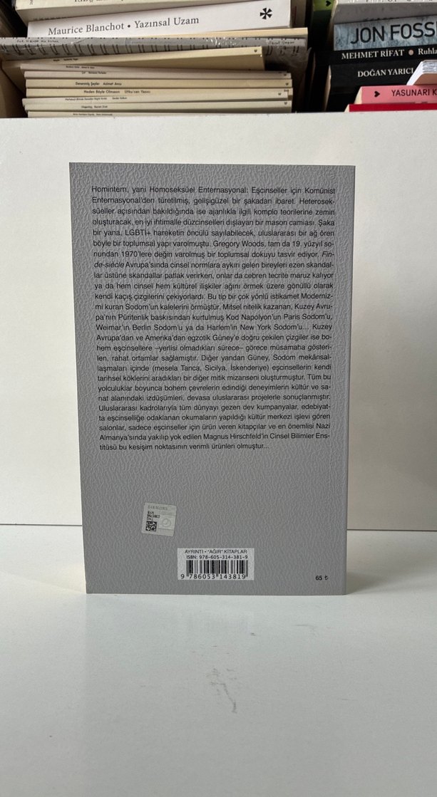 HOMINTERN - Gregory Woods - Görsel 3