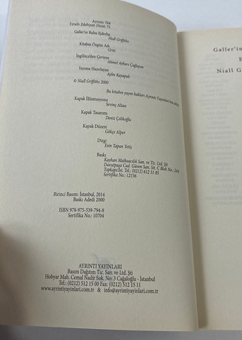 Galler'in Ruhu Ejderha - Niall Griffiths - Görsel 4