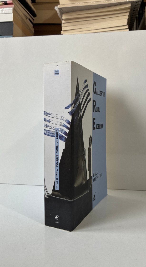 Galler'in Ruhu Ejderha - Niall Griffiths - Görsel 2