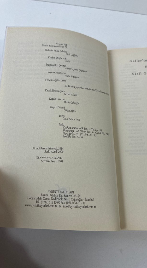 Galler'in Ruhu Ejderha - Niall Griffiths - Görsel 4