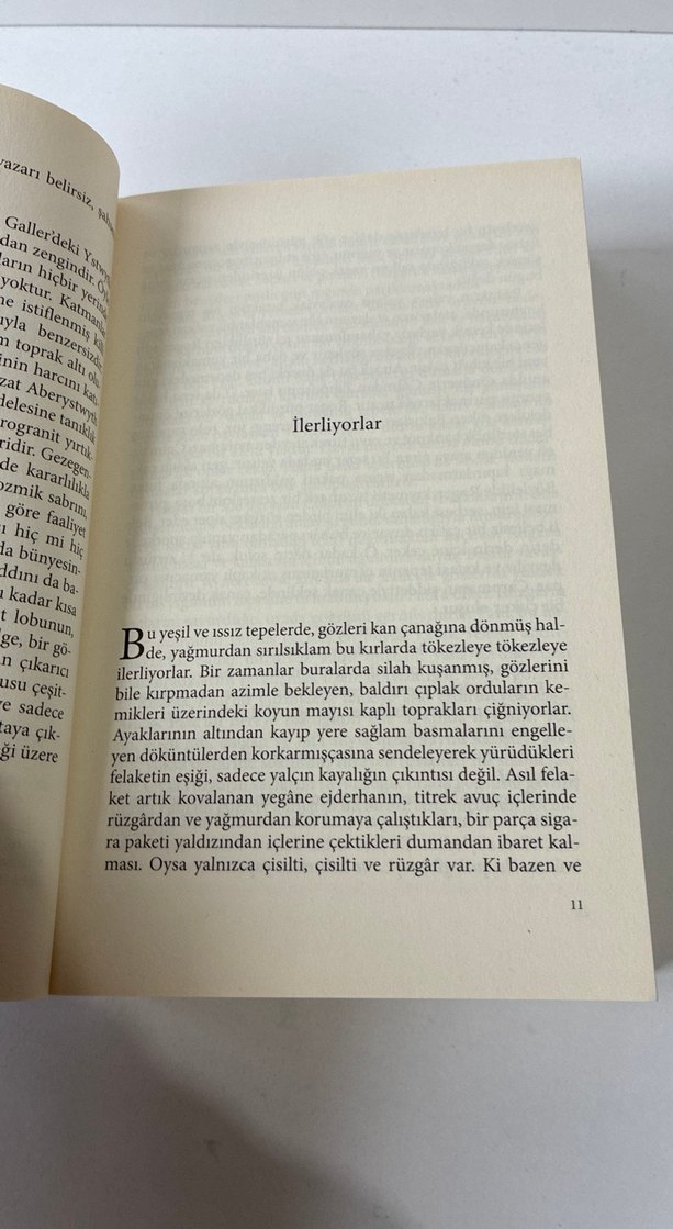 Galler'in Ruhu Ejderha - Niall Griffiths - Görsel 5