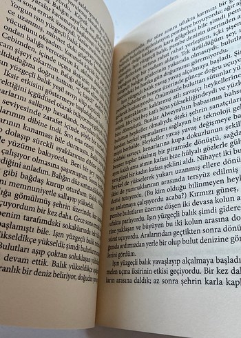 Öteki Şehir - Michal Ajvaz - Görsel 7