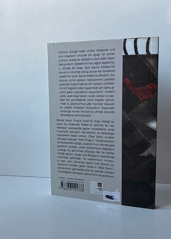 Öteki Şehir - Michal Ajvaz - Görsel 3