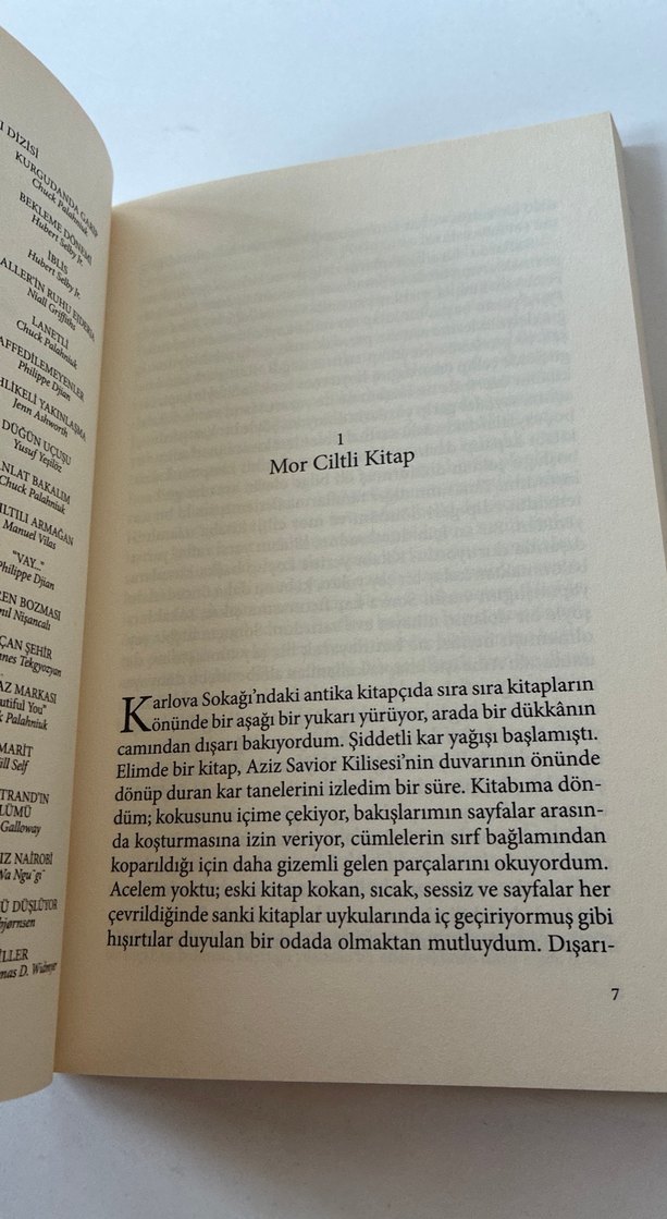 Öteki Şehir - Michal Ajvaz - Görsel 5