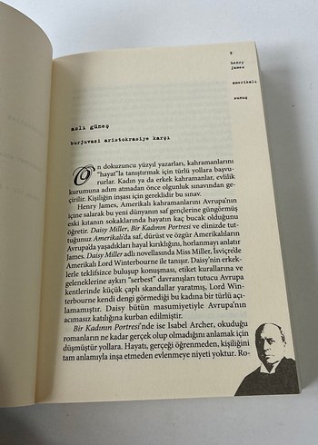 Henry James - Amerikalı Romanı - Görsel 7