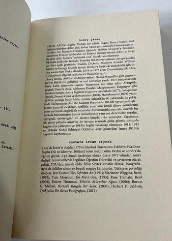 Henry James - Amerikalı Romanı - Görsel 5