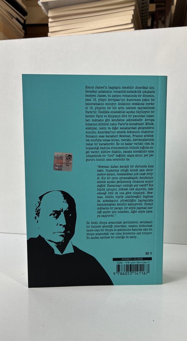 Henry James - Amerikalı Romanı - Görsel 3