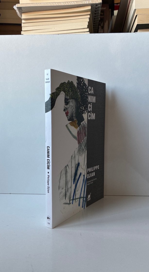 Canım Cicim - Philippe Djian - Görsel 2