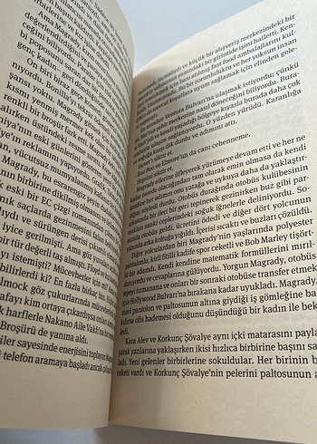 Tekinsiz Bölge - Gary Phillips - Görsel 9