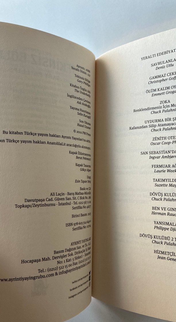 Tekinsiz Bölge - Gary Phillips - Görsel 4