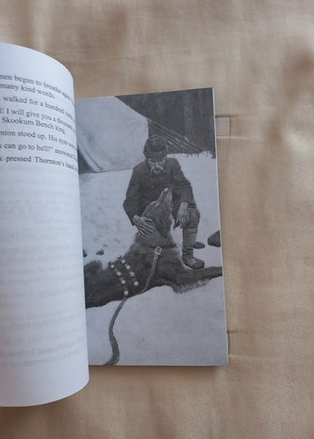  Beden Renk The Call of the Wild - stage 1- İngilizce okuma kitabı