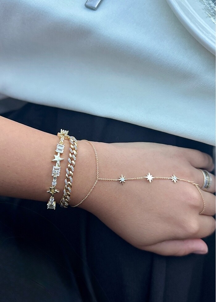 Kutup yıldızı şahmeran - Görsel 2