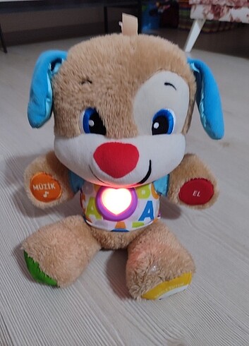  Beden Fisih Price Ayıcık
