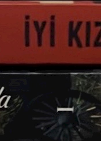 Tatlı Kaçış ve Beyinde Roman Seti