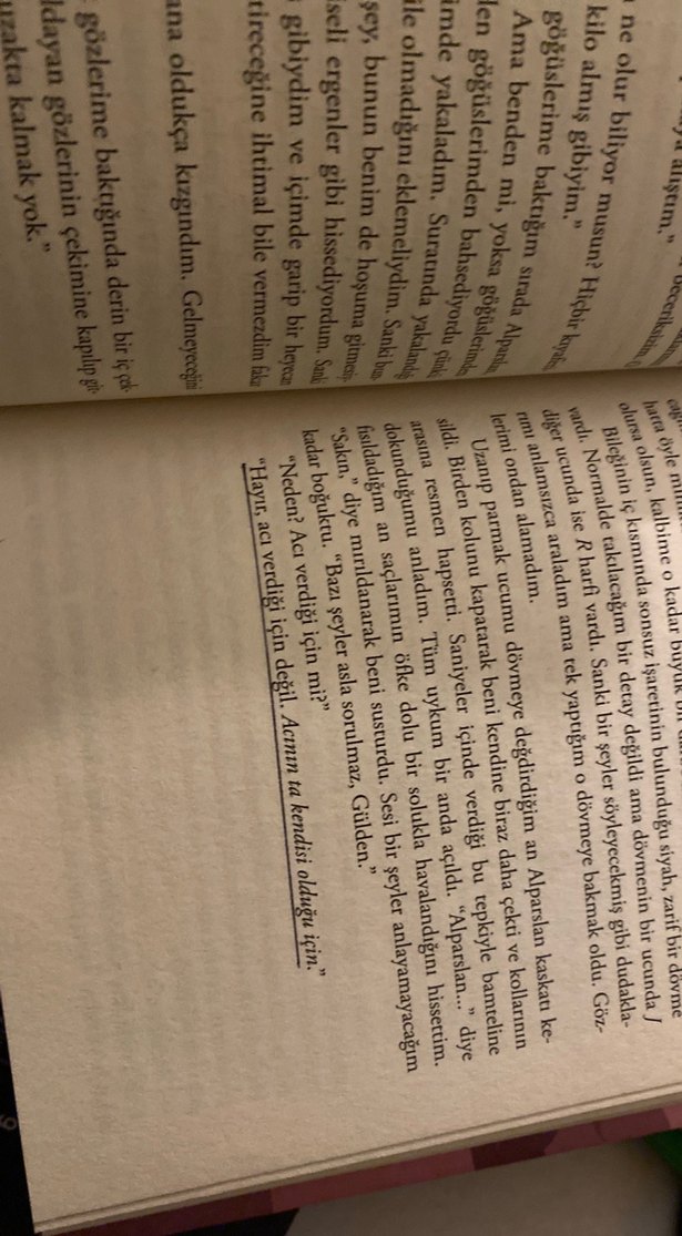 Ateşin Koynunda - Sıla Koçak - Görsel 3