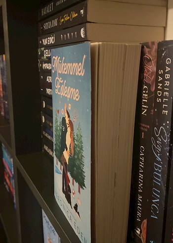 Mükemmel Eşleşme - Veronica Eden - Görsel 2