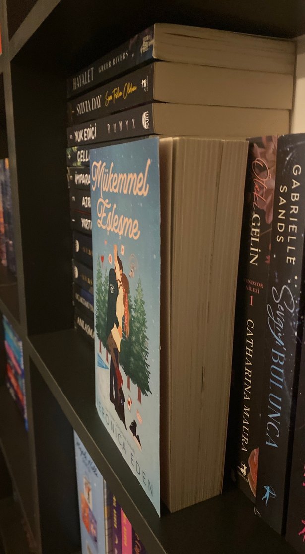 Mükemmel Eşleşme - Veronica Eden - Görsel 2