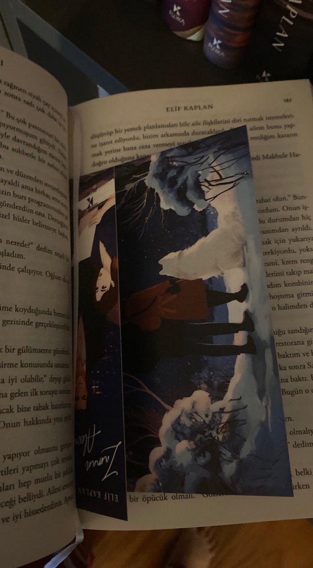 Zaman Alevi - Elif Kaplan - Görsel 2