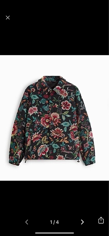 Zara ceket