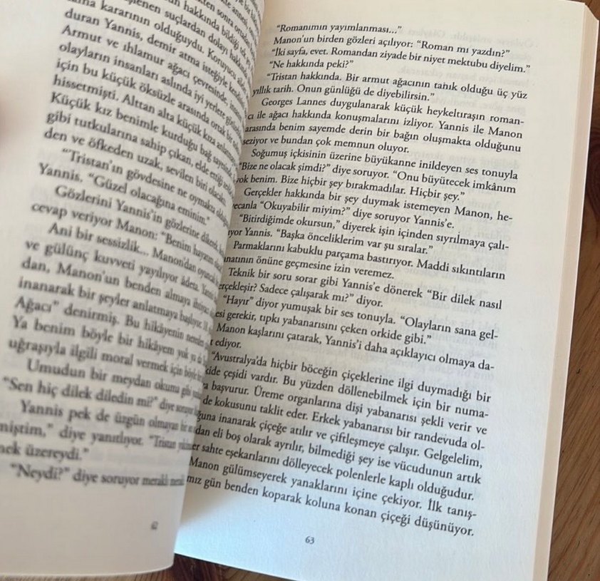 Bir Ağacın Günlüğü - Didier Van Cauwelaert - Görsel 3