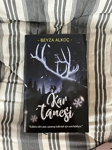 Kar tanesi ve kar küresi