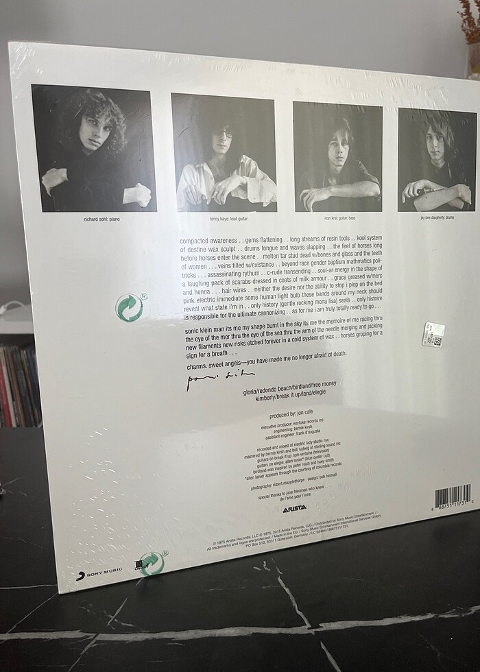 Patti Smith Horses Plak - Görsel 2