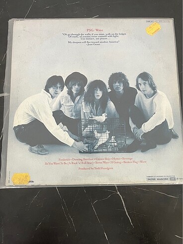 Patti Smith Group Wave 2.el Plak - Görsel 2