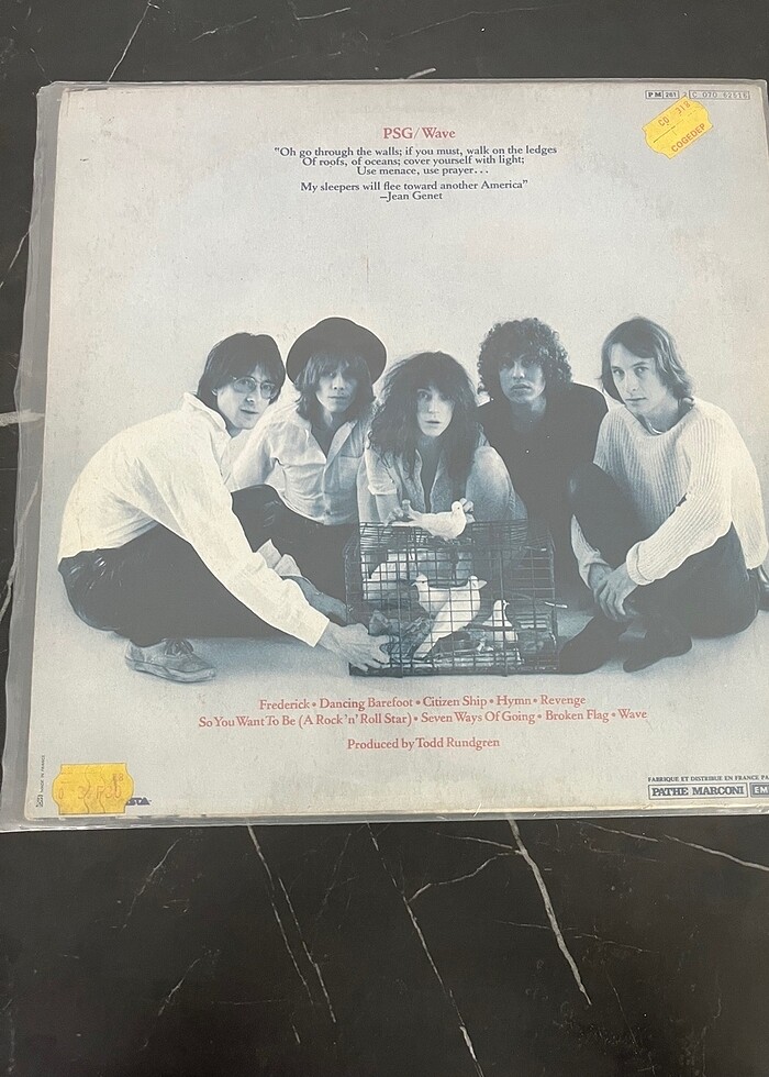 Patti Smith Group Wave 2.el Plak - Görsel 2