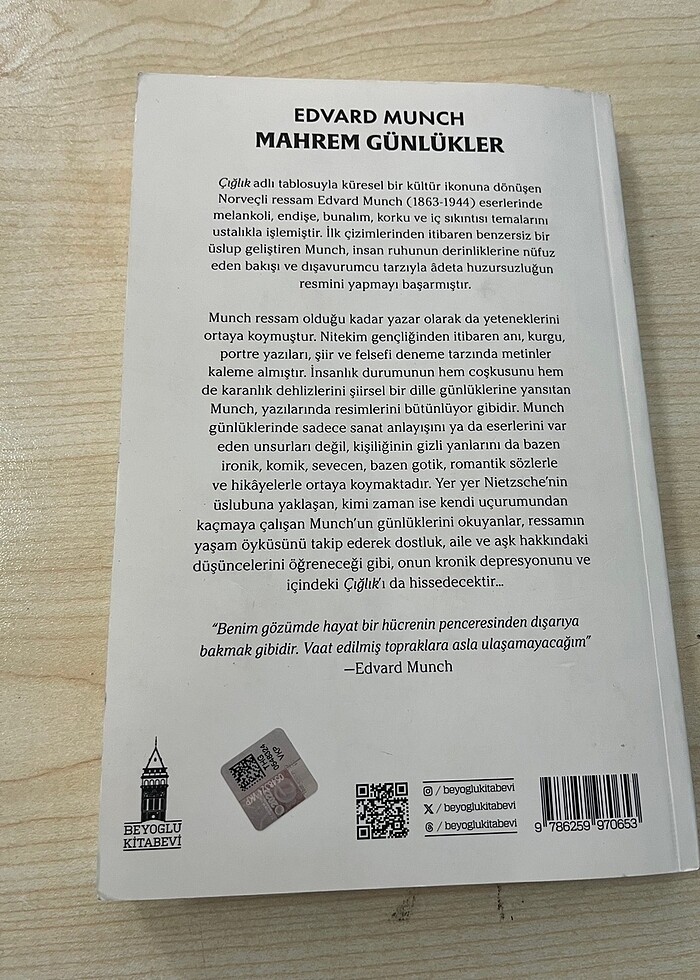 Edvard Munch Kitap - Görsel 2