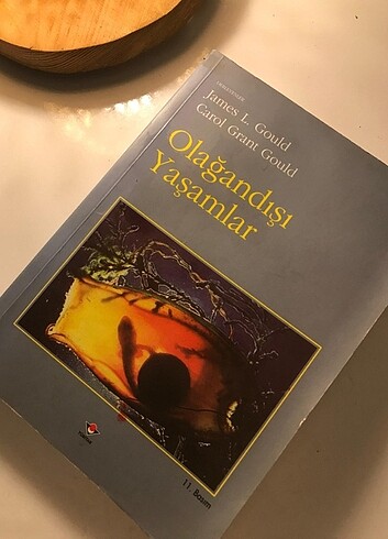 Olağan dışı yaşamlar