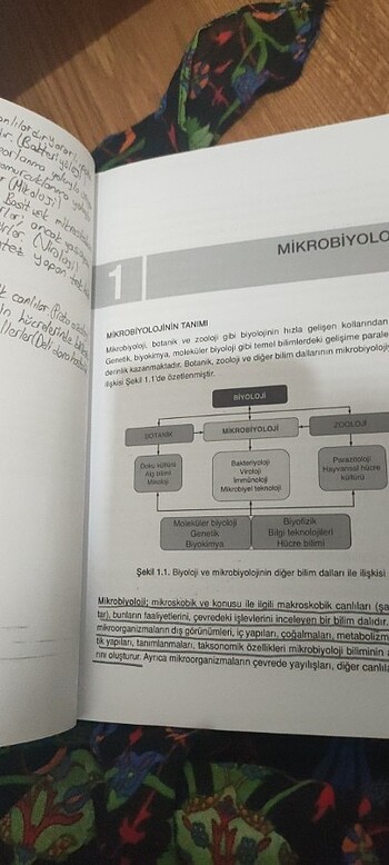  Beden Mikrobiyoloji 