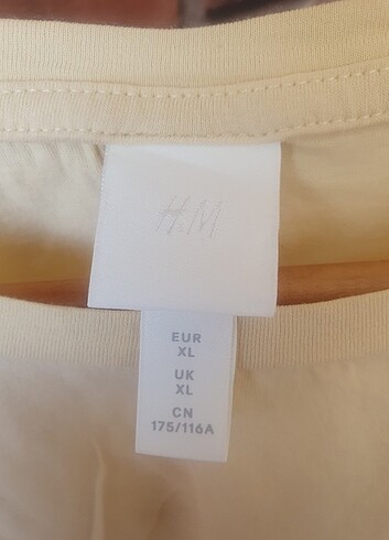 xl Beden Thişirt