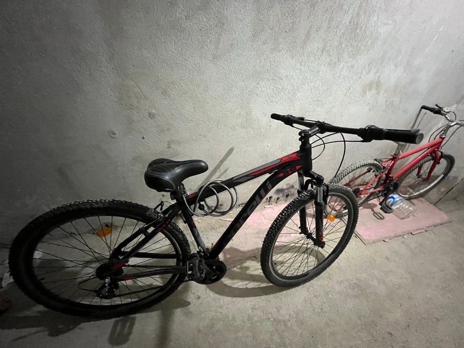 Corelli 3.3 felix dağ bisikleti - Görsel 2