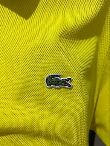 Lacoste Lacoste tshirt