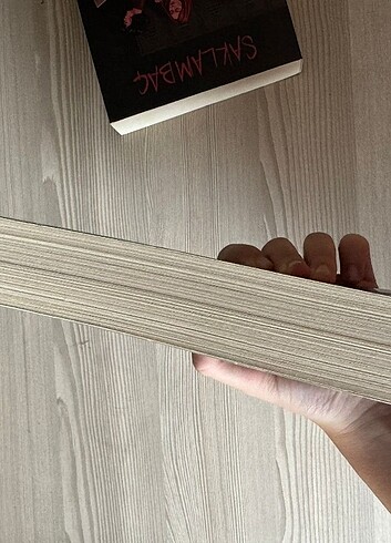 Saklambaç Serisi 1. Kitap - NG. Kabal - Martı Yayınları
