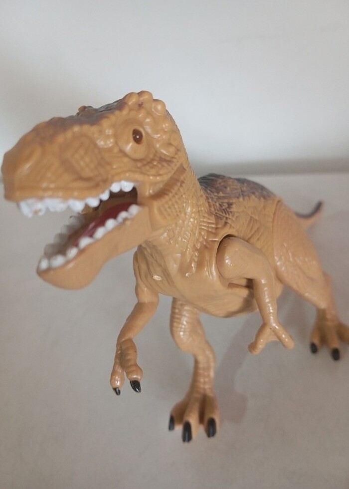 Pilli dinazor - Görsel 3