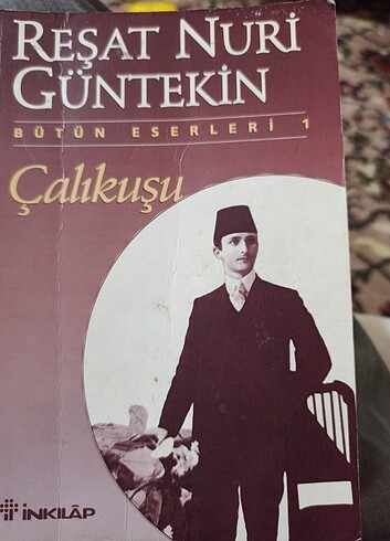 Çalıkuşu romanı 