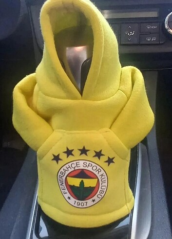 FENERBAHÇE vites polar 