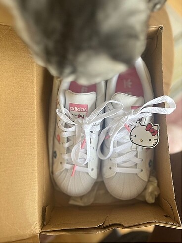 Adidas superstar hello kitty
