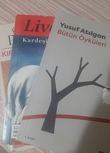 3 adet kitap