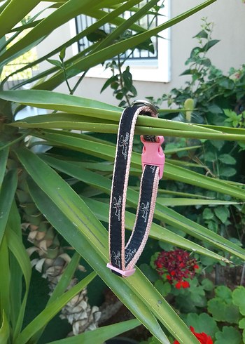 Tasma kedi ve yavru kopek icin - Görsel 6