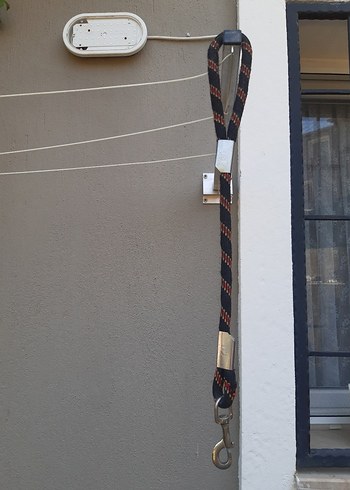 Tasma kedi ve yavru kopek icin - Görsel 9