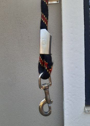 Tasma kedi ve yavru kopek icin - Görsel 8